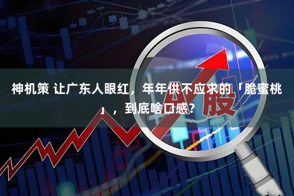 神机策 让广东人眼红，年年供不应求的「脆蜜桃」，到底啥口感？